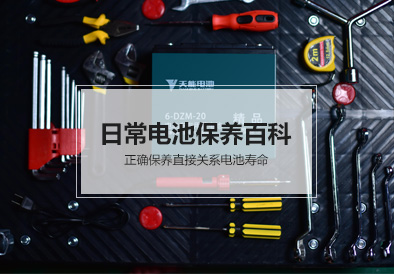 俄罗斯贵宾会电池