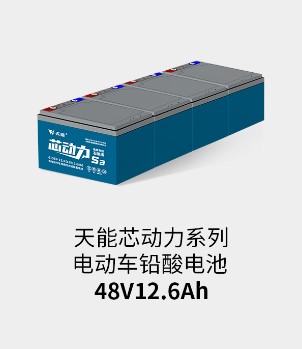 俄罗斯贵宾会电池48v12ah