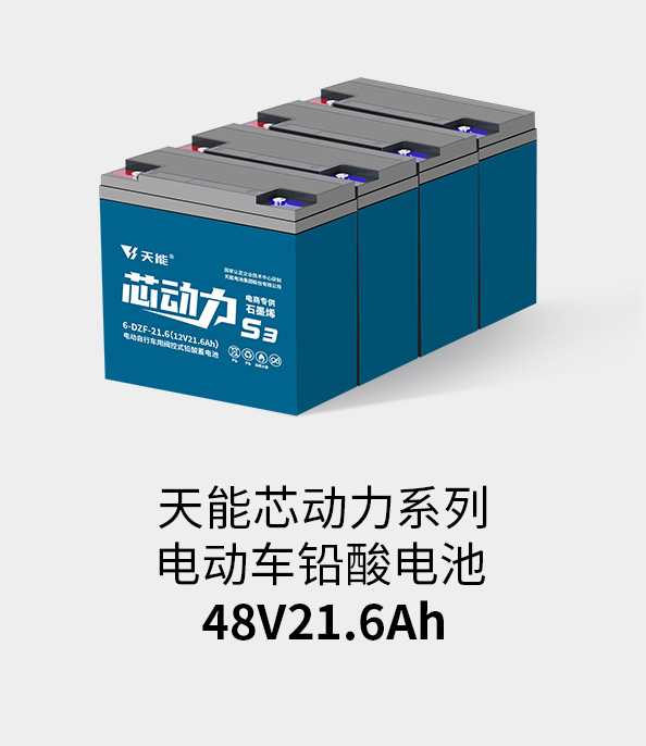 俄罗斯贵宾会电池48v20ah