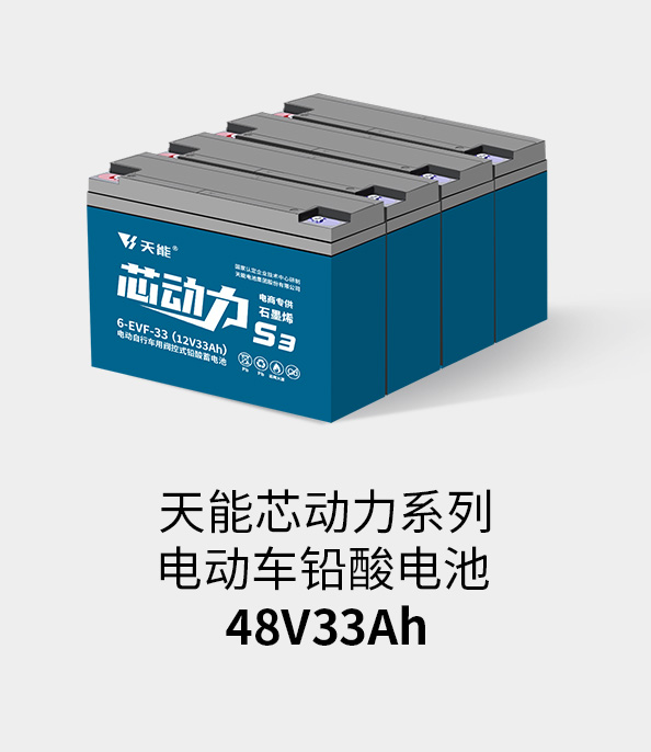 俄罗斯贵宾会电池48v32ah