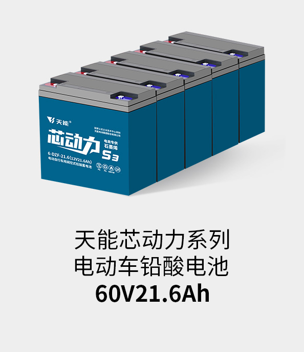 俄罗斯贵宾会电池60v20ah