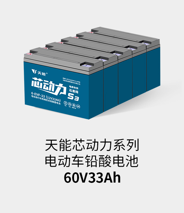 俄罗斯贵宾会电池60v33ah