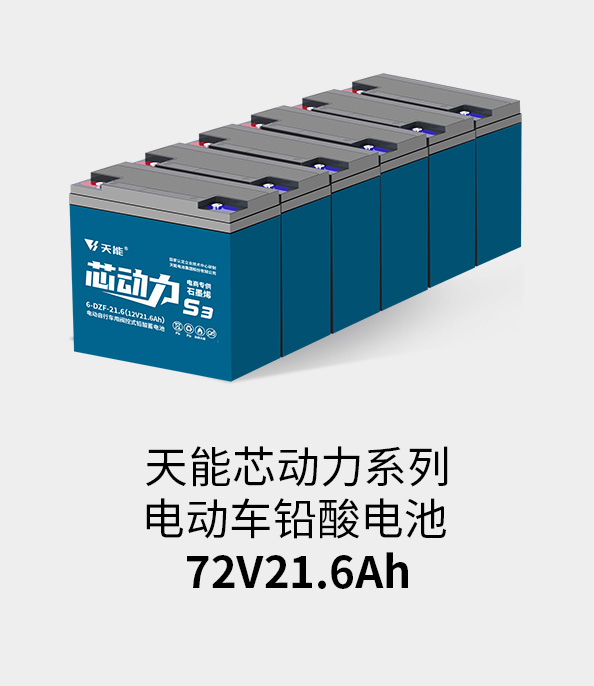 俄罗斯贵宾会电池72v20ah