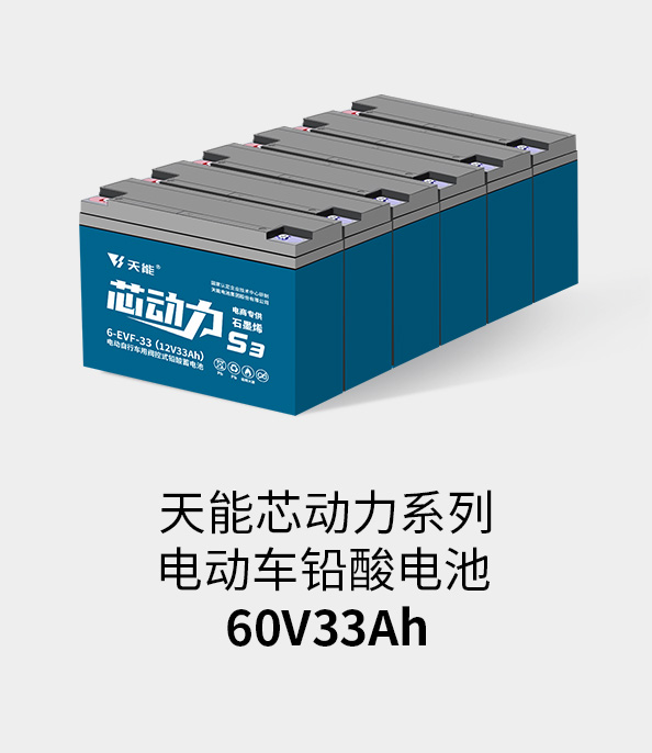 俄罗斯贵宾会电池72v33ah