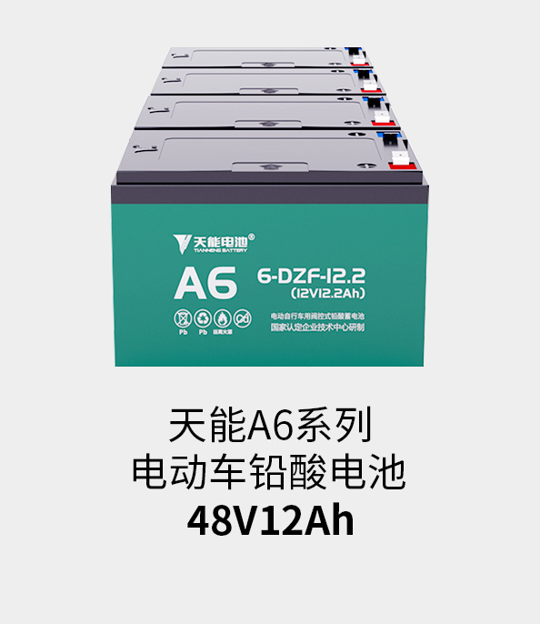 俄罗斯贵宾会电池48v12ah