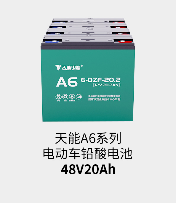 俄罗斯贵宾会电池48v20ah
