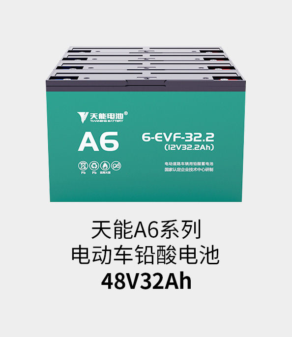 俄罗斯贵宾会电池48v32ah