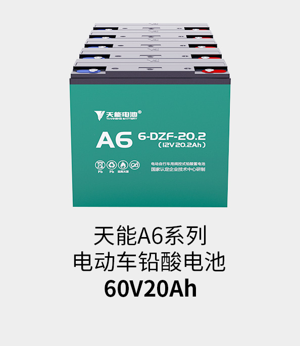 俄罗斯贵宾会电池60v20ah