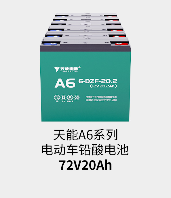 俄罗斯贵宾会电池72v20ah