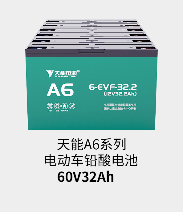 俄罗斯贵宾会电池72v33ah