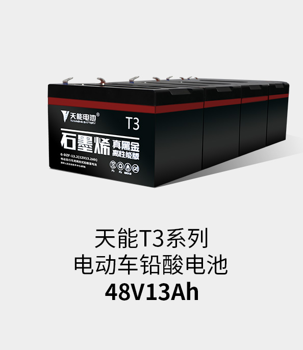 俄罗斯贵宾会T3系列48v13ah