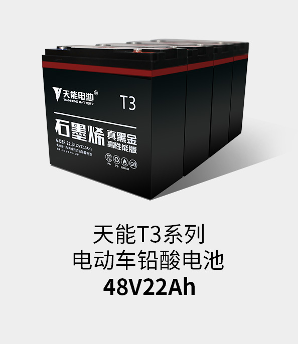 俄罗斯贵宾会T3系列48v22ah
