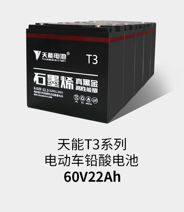 俄罗斯贵宾会T3系列60v22ah