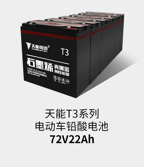 俄罗斯贵宾会T3系列72v22ah