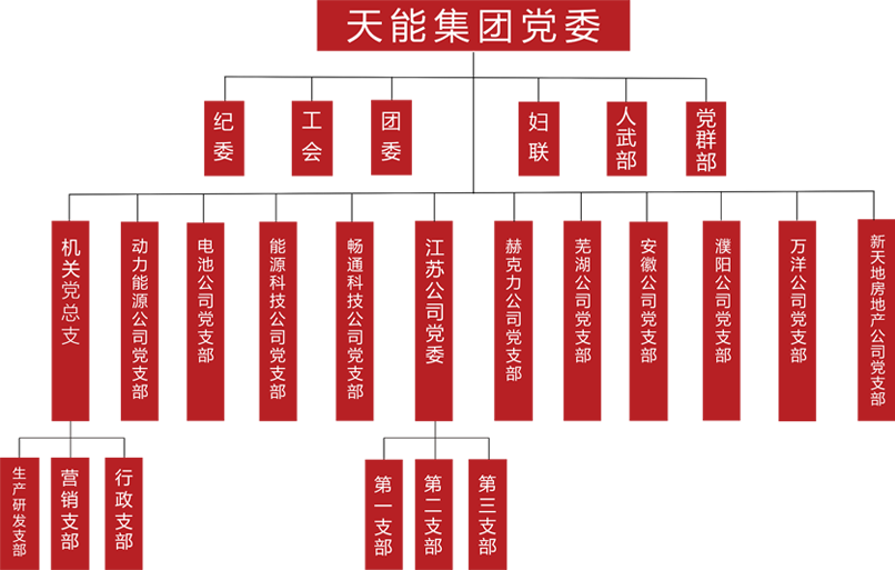 俄罗斯贵宾会建团党委组织架构