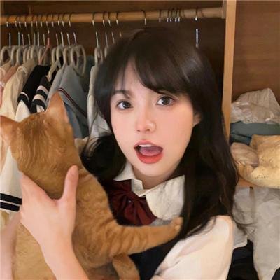哈伊