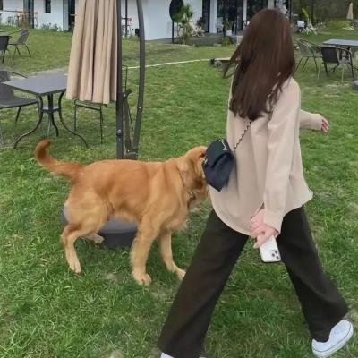 爱丽斯餐厅
